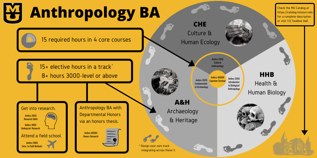 I took a master class in anthropology without realizing it